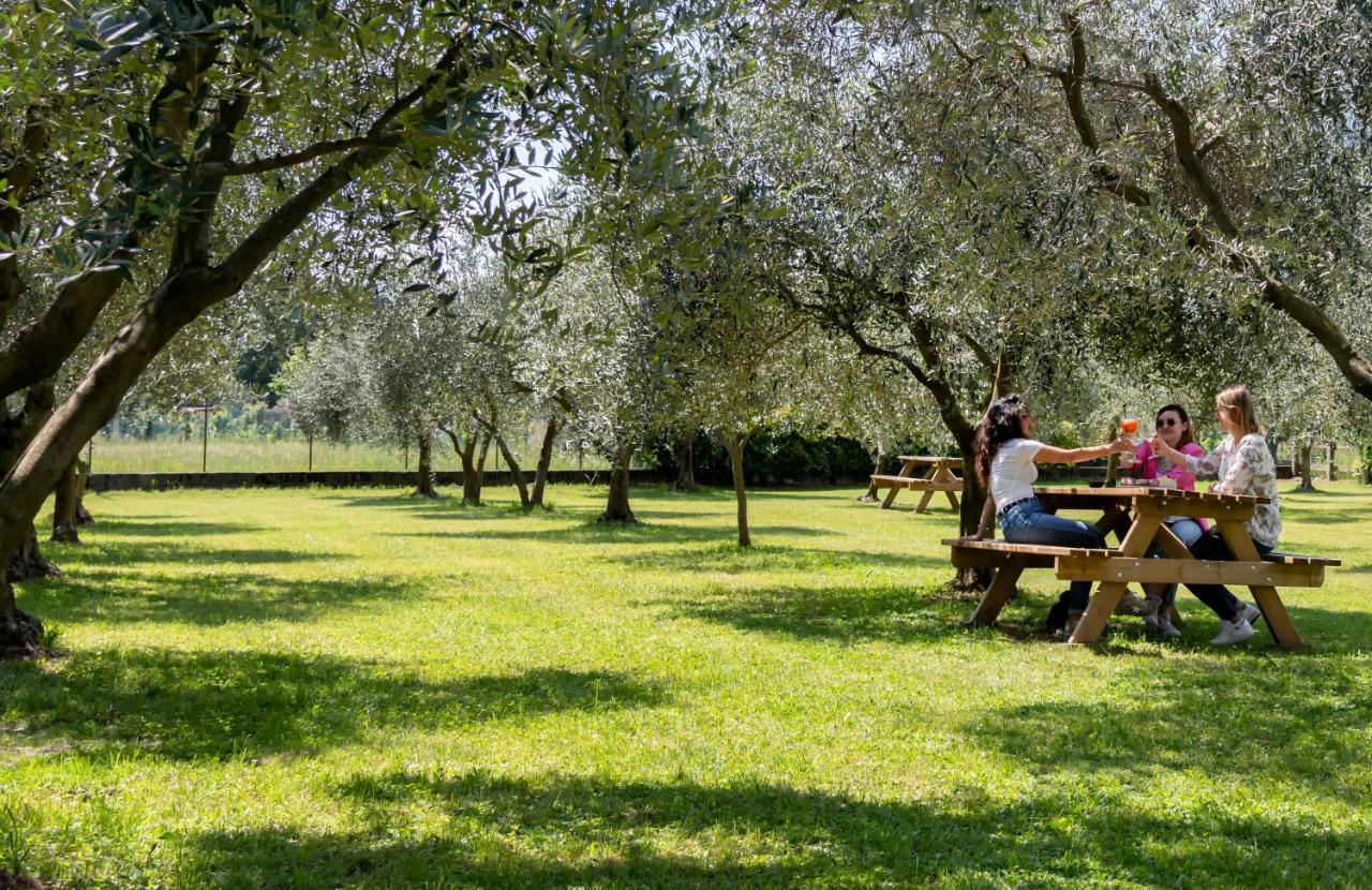 Agriturismo Ca Del Lago غْرافيدونا المظهر الخارجي الصورة
