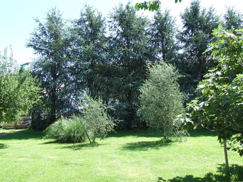 Agriturismo Ca Del Lago غْرافيدونا المظهر الخارجي الصورة