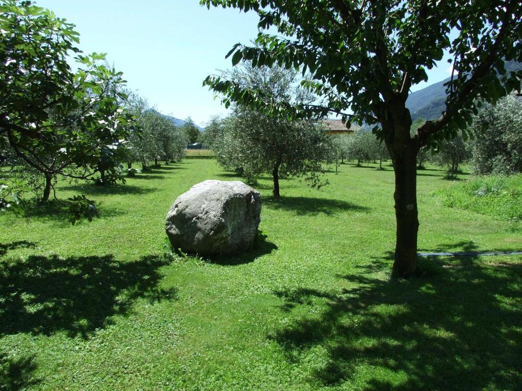 Agriturismo Ca Del Lago غْرافيدونا المظهر الخارجي الصورة