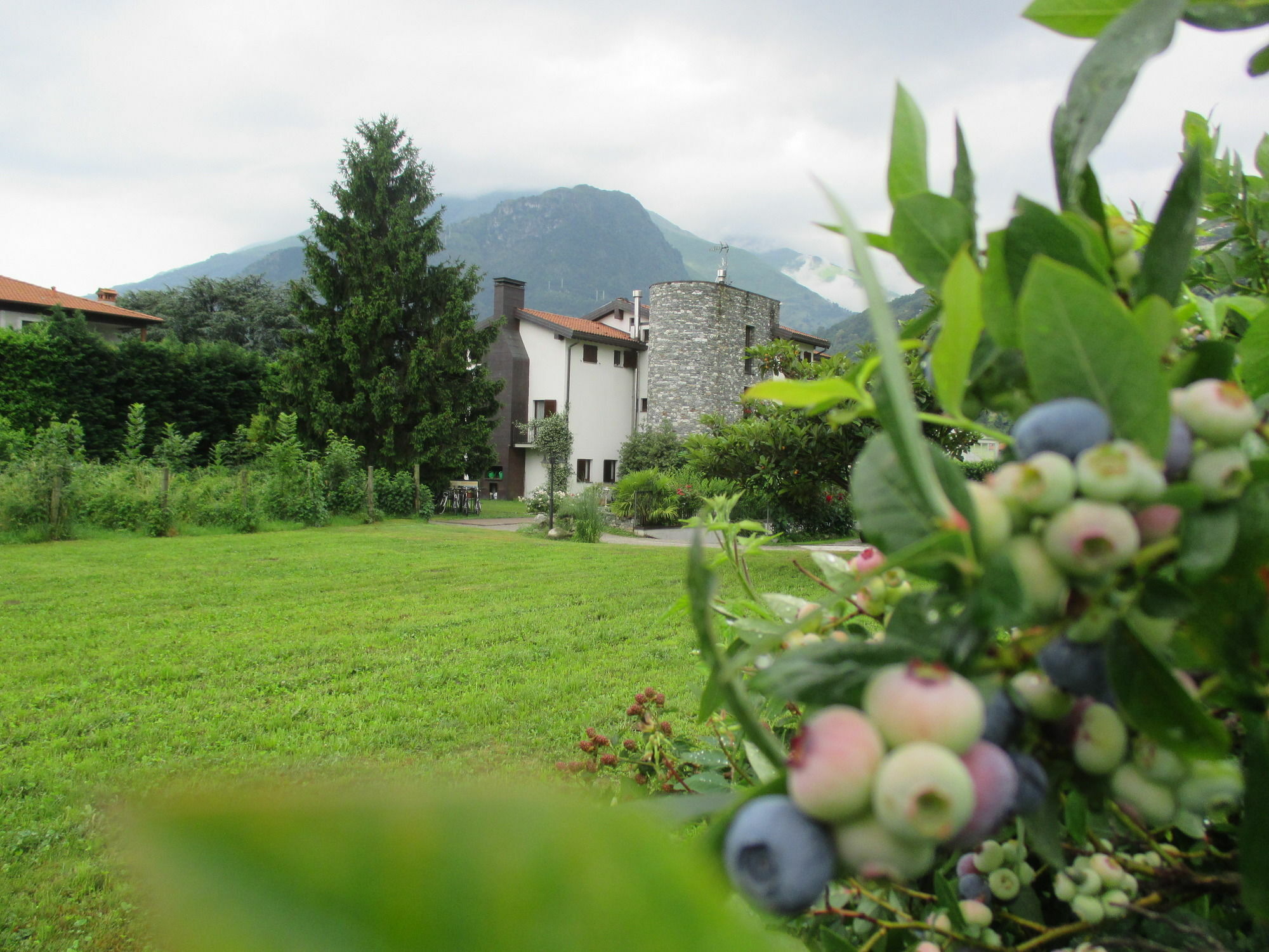 Agriturismo Ca Del Lago غْرافيدونا المظهر الخارجي الصورة
